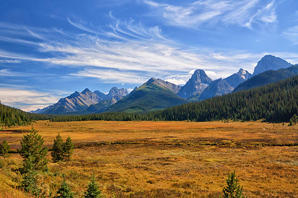 Adventures Await: Embrace the May Long Weekend in Alberta!