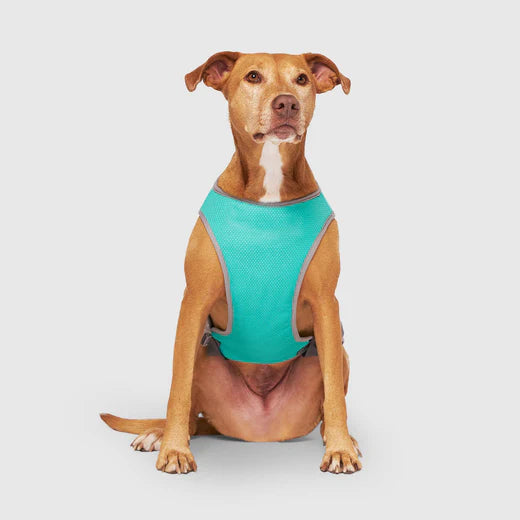 Canada Pooch Chill Seeker Cooling Vest Wet Reveal