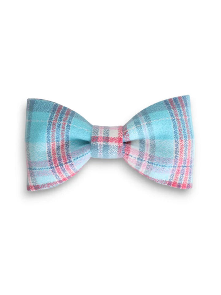 J'em & Co Bow Tie Frozen In Time