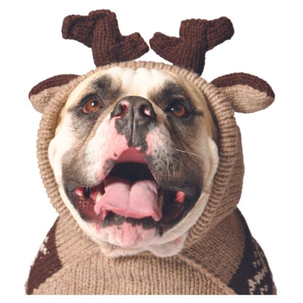 Chilly Dog Sweater Moosey Hoodie