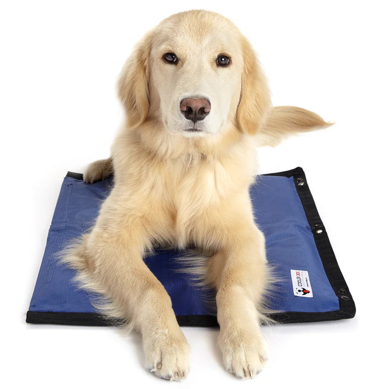 Dogs rock cooling mat best sale