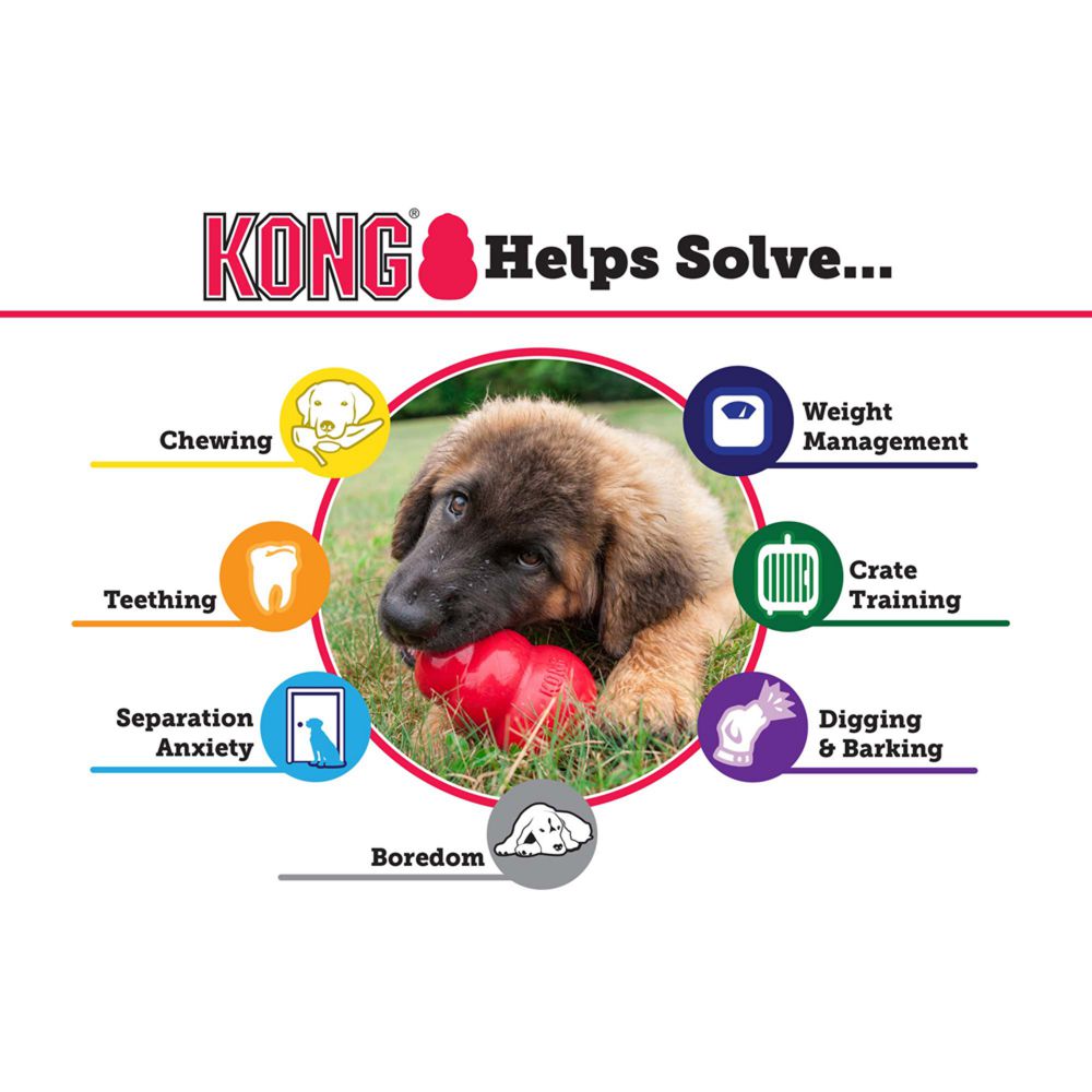 Dog treat toys kong best sale