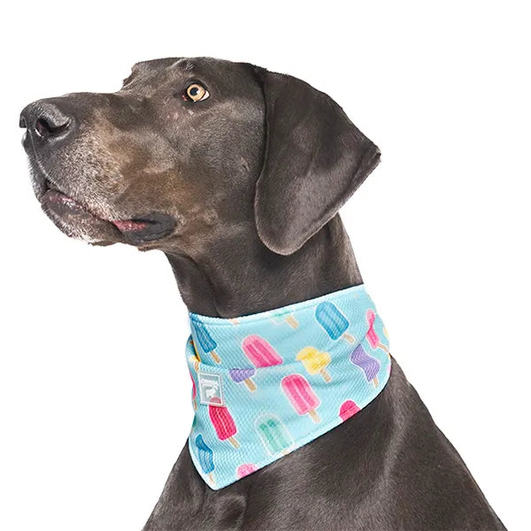 Canada Pooch Cooling Bandana